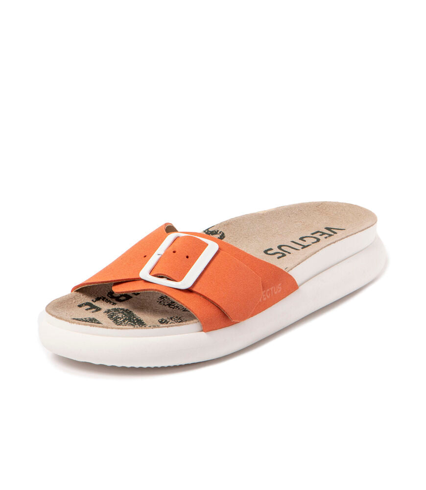Corail Vegtus Thar