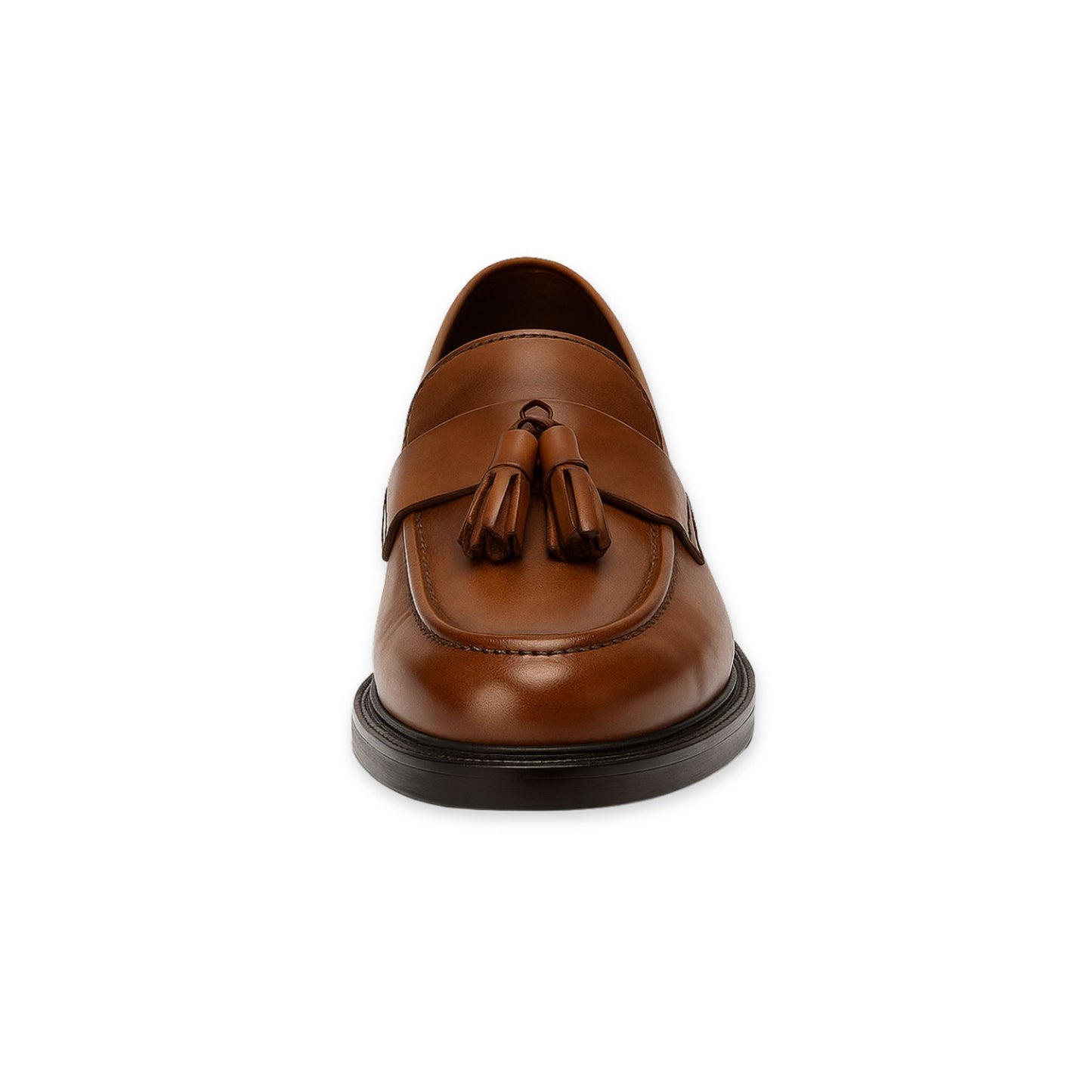 Duca di Morrone ASCANIO_PELLE