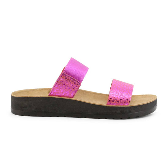 Scholl GAIA-F29269