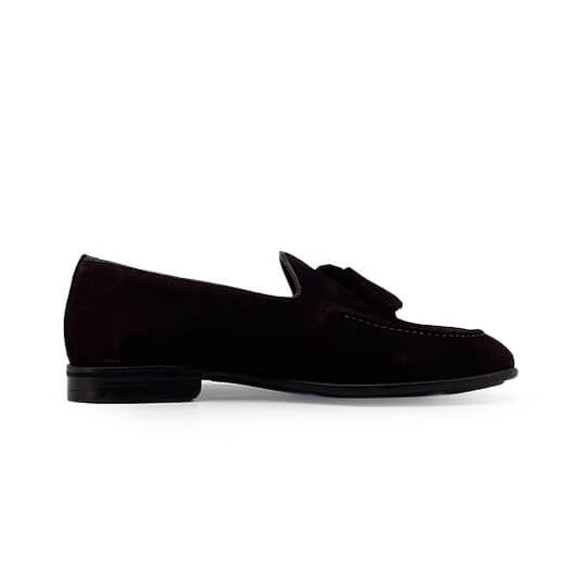 Duca di Morrone ASCANIO-CAM