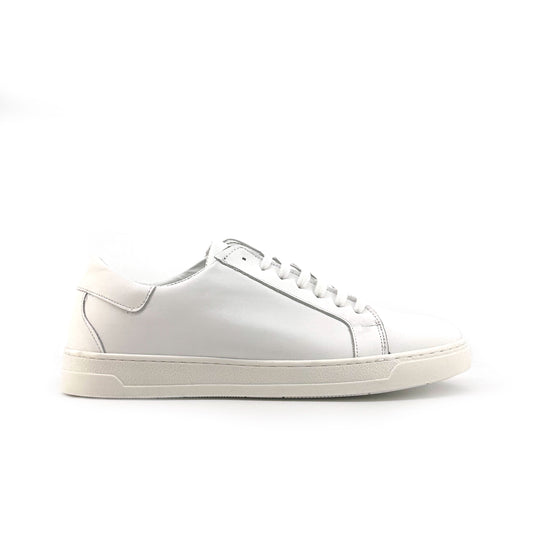 Duca di Morrone BRANDO-PELLE