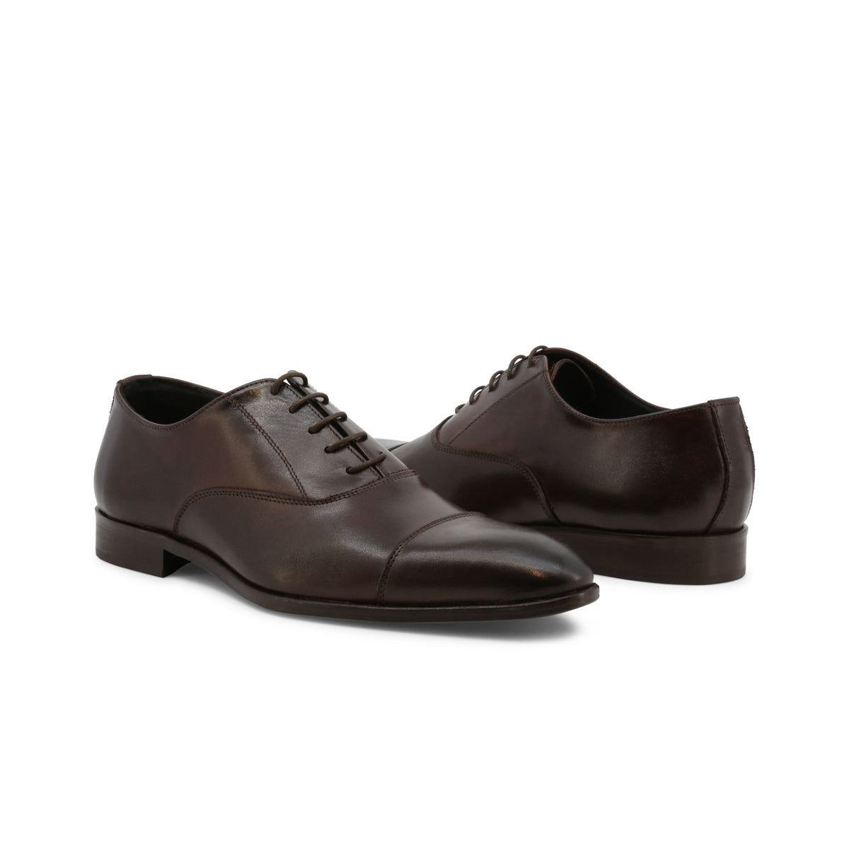 Duca di Morrone ELIO-PELLE-AI