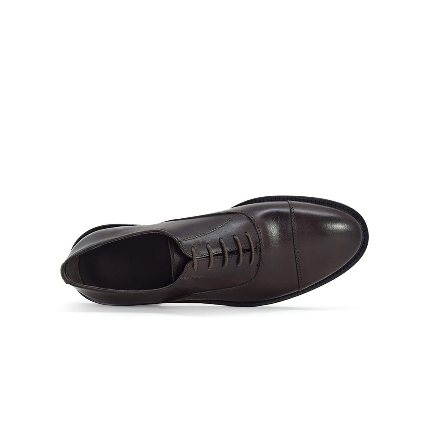 Duca di Morrone AMEDEO