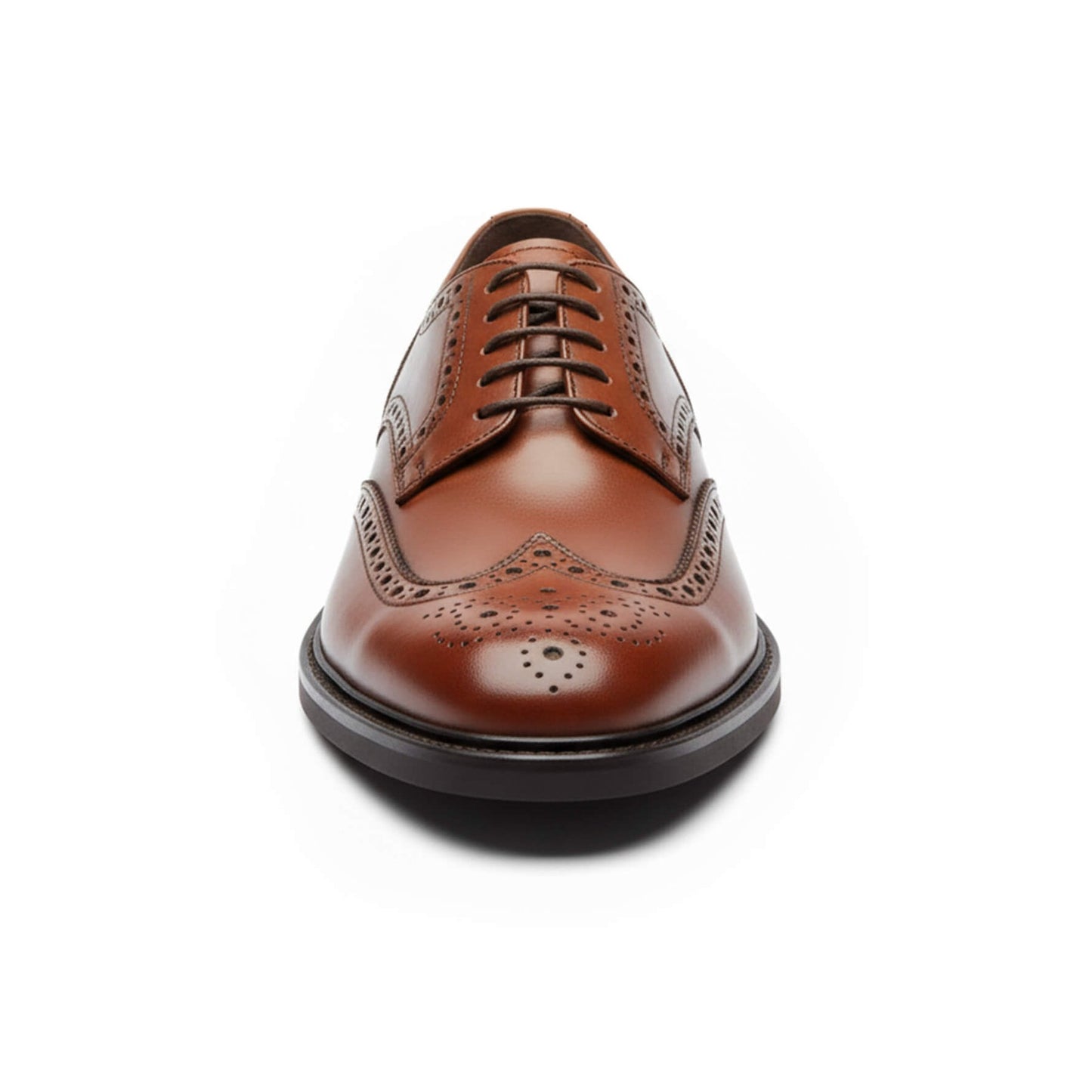Duca di Morrone ALFONSO-VIT brown