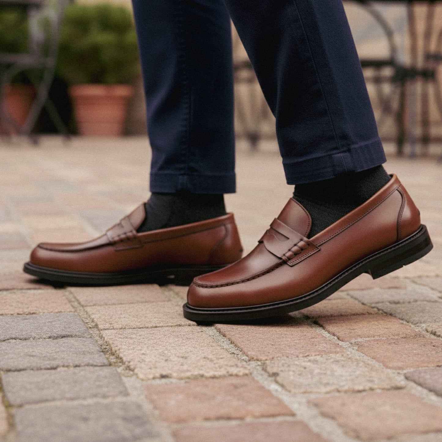Duca di Morrone FELICE-VIT brown
