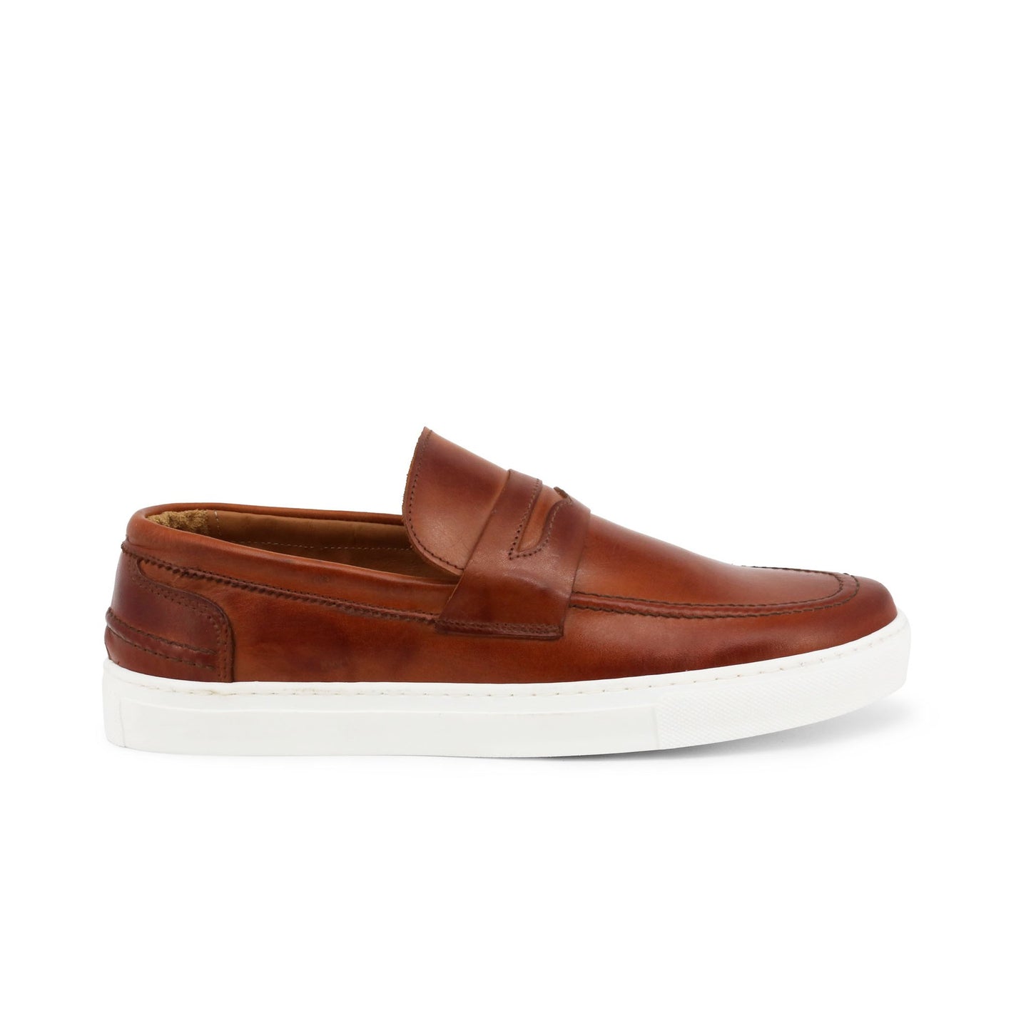 Duca di Morrone ENEA-PELLE brown