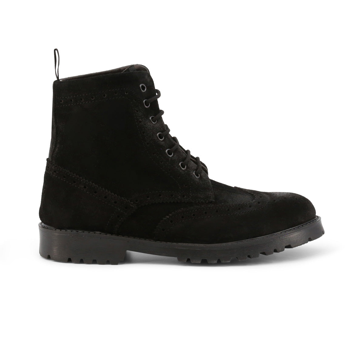 Duca di Morrone FAUSTO-CAM
